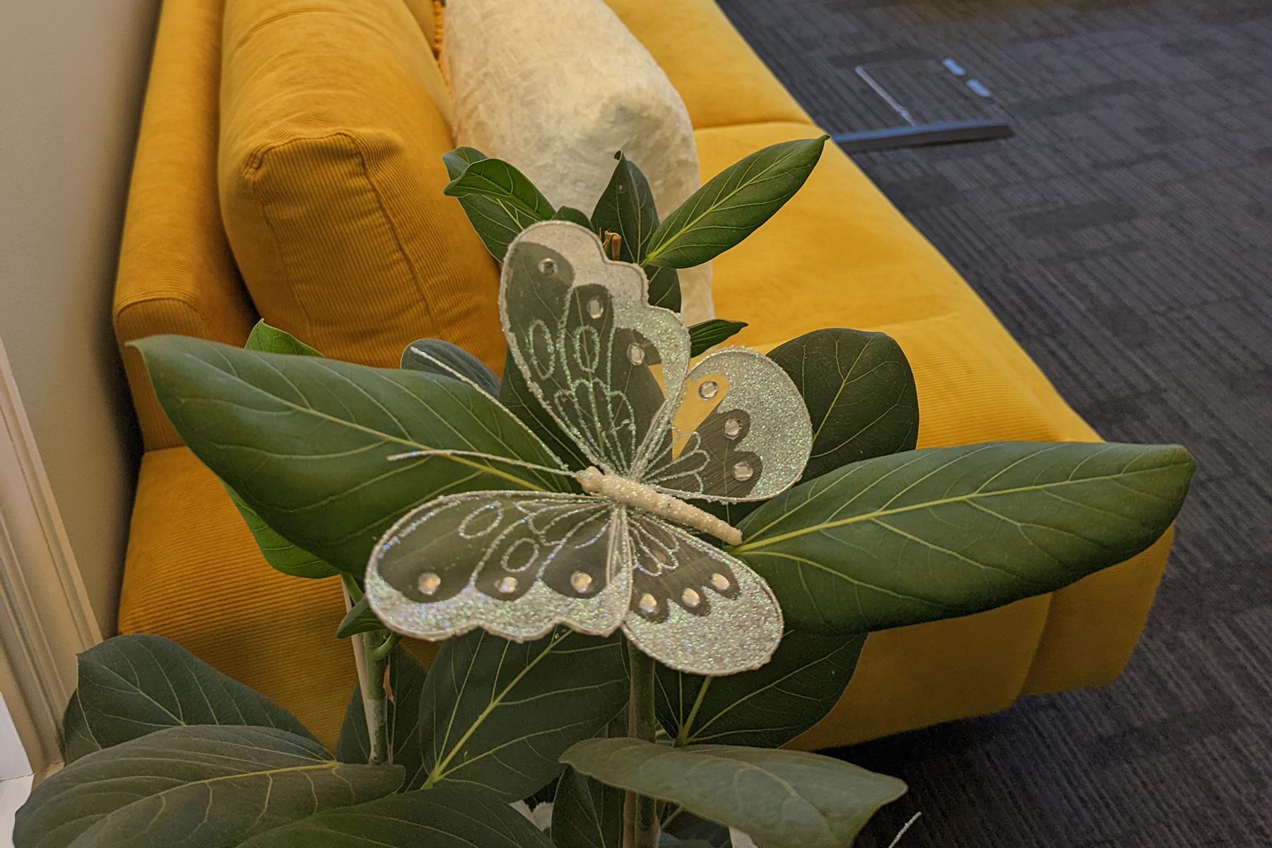 Image of a plant with decorative butterfly